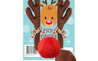 Christmas Car Decorations Nearby: 10 Easy Holiday Picks