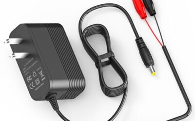 Best 12V Lithium Battery Charger: Amperage, Voltage Profiles, and BMS Activation