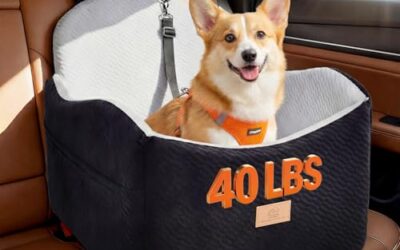 Best Dog Car Seat for Small Dogs: Safer Fits for Daily Drives