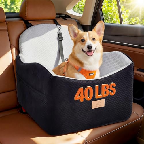 Best Dog Car Seat for Small Dogs: Safer Fits for Daily Drives