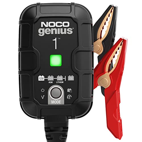 Best 6 Volt Deep Cycle Smart Battery Charger