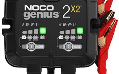 Best 2-Bank 6-Volt Battery Chargers for Two-Battery Maintenance
