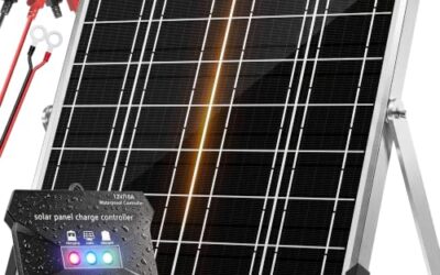 Best Solar Deep Cycle 12 Volt Battery Charger for RV