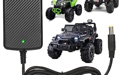 Best 24 Volt Battery Charger: Match the Battery First