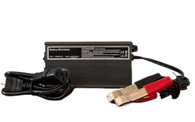 Best 48 Volt Golf Cart Battery Maintainer by Battery Type