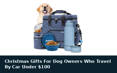 Christmas Gifts For Dog Owners Who Travel By Car Under $100
