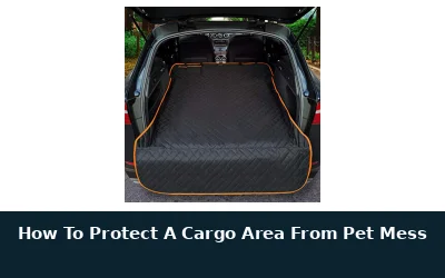 Protect Your Cargo Area From Pet Mess