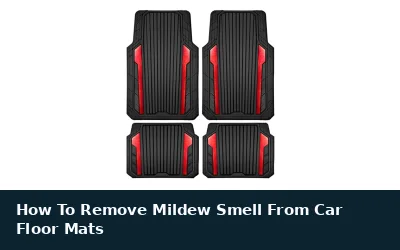 Remove Mildew Smell From Car Floor Mats