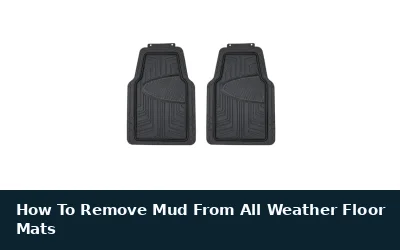 How To Remove Mud From All Weather Floor Mats