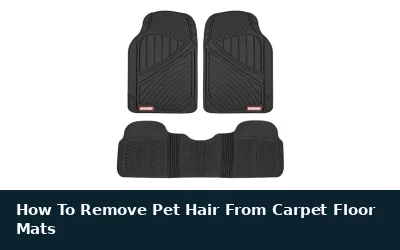 How To Remove Pet Hair From Carpet Floor Mats