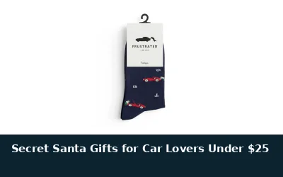 Secret Santa Gifts for Car Lovers Under $25