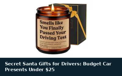 Secret Santa Gifts for Drivers: Budget Car Presents Under $25