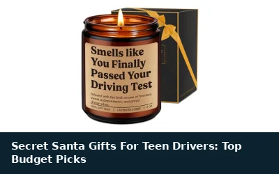 Secret Santa Gifts For Teen Drivers: Top Budget Picks
